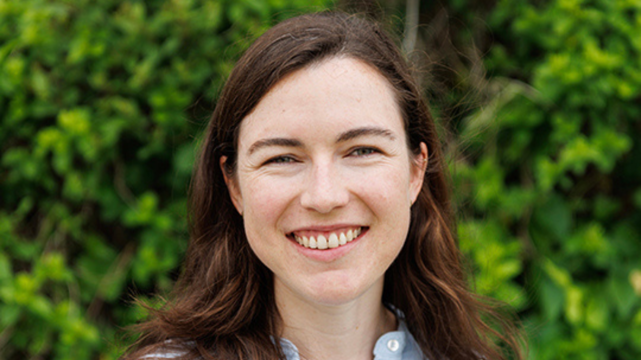 Hannah Wayment Steele Newsletter 1