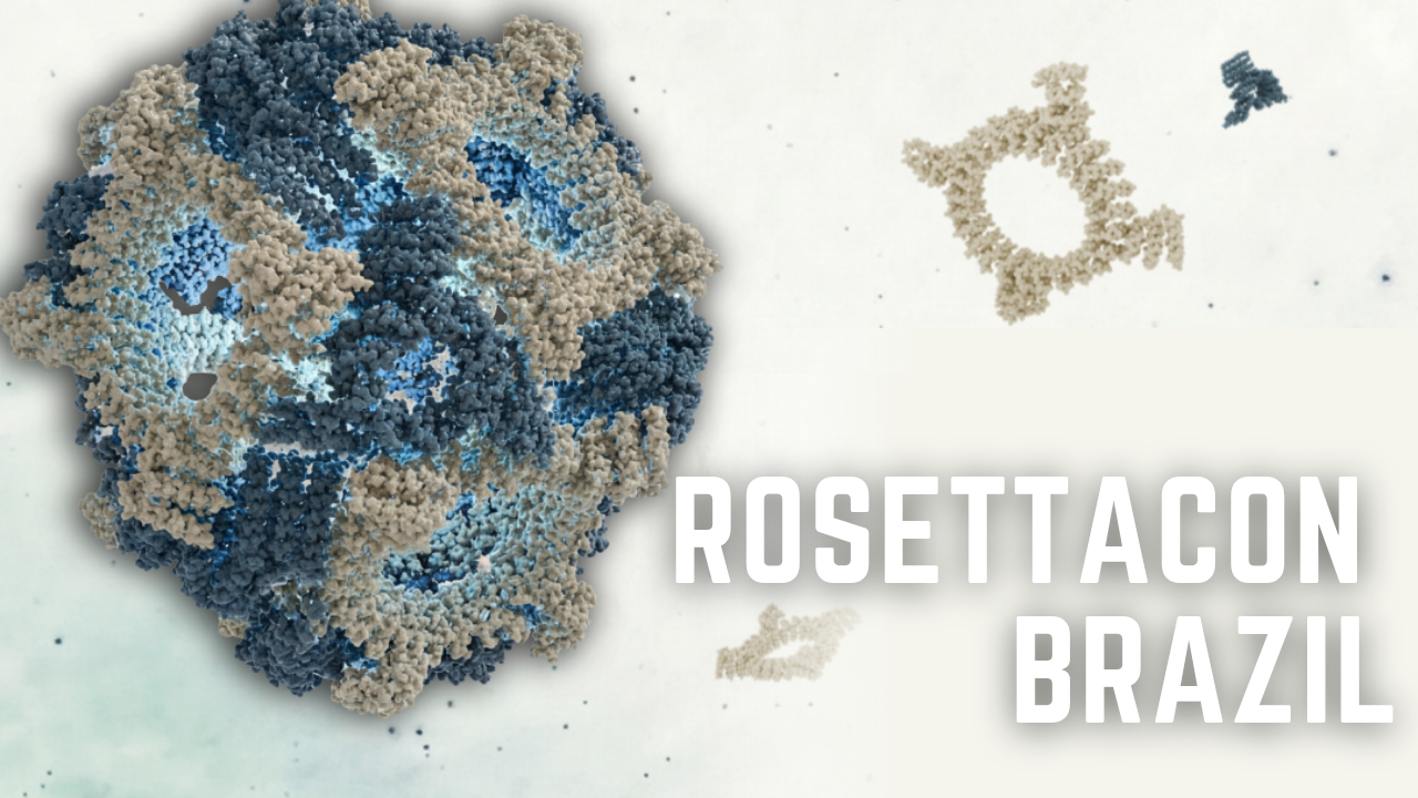 rosettaconbrazilheader