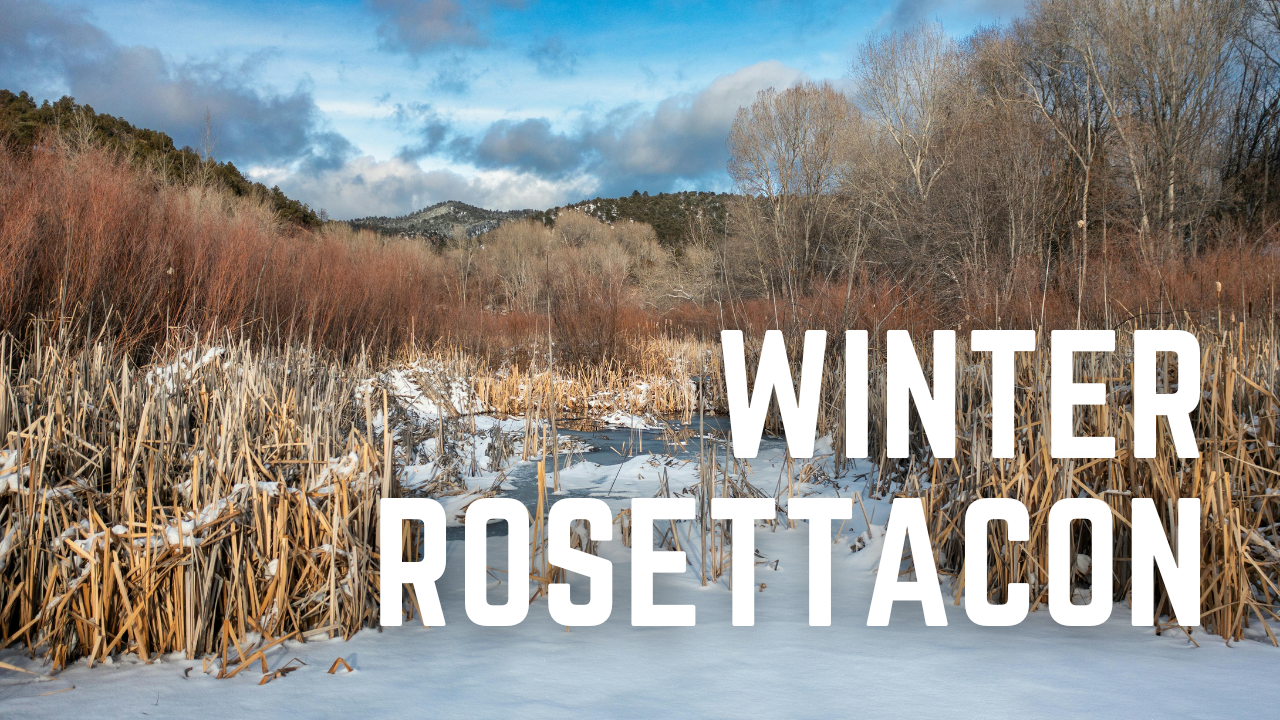 winterrosettacon
