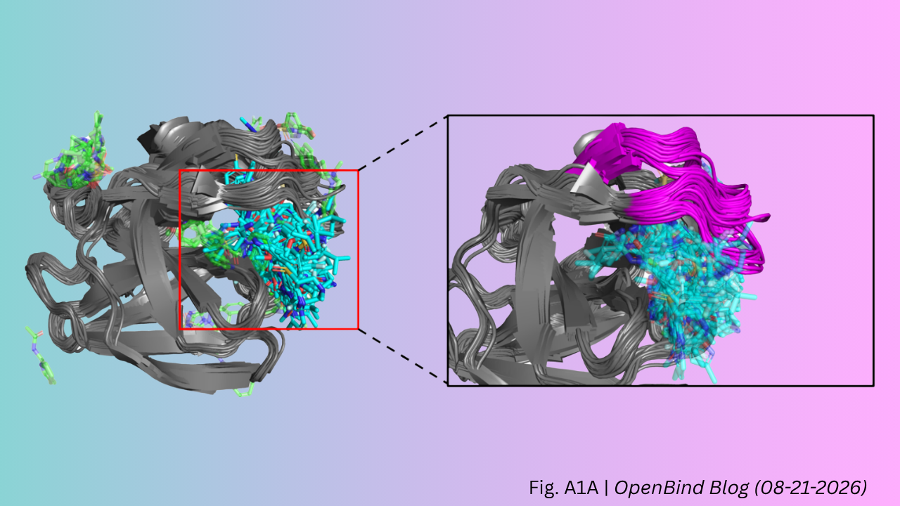 openbind0