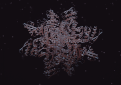 12mer_2 - Tom Schlegel